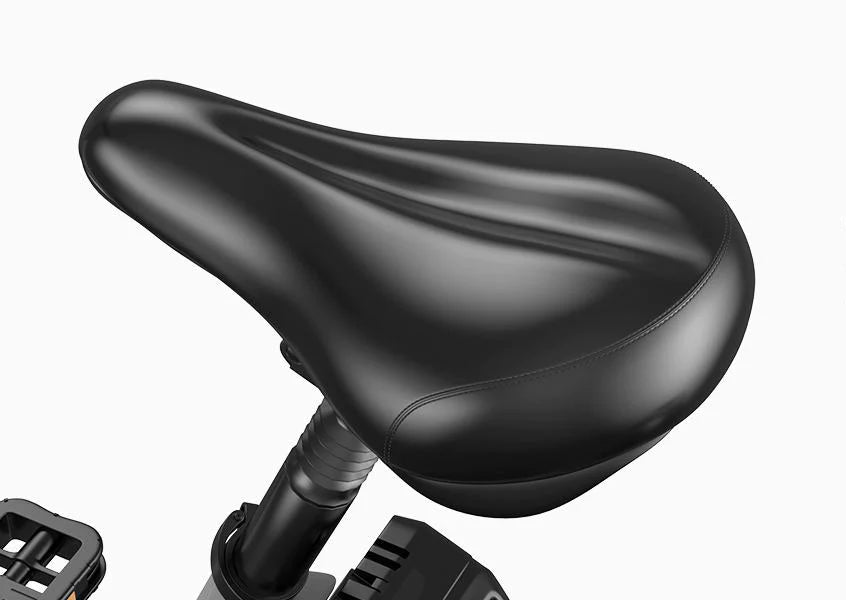 2025 Mukkpet GL Fat Tire E-bike