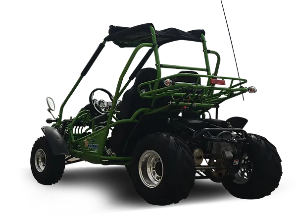 TRAILMASTER 200 XRX 2-SEATER GO KART