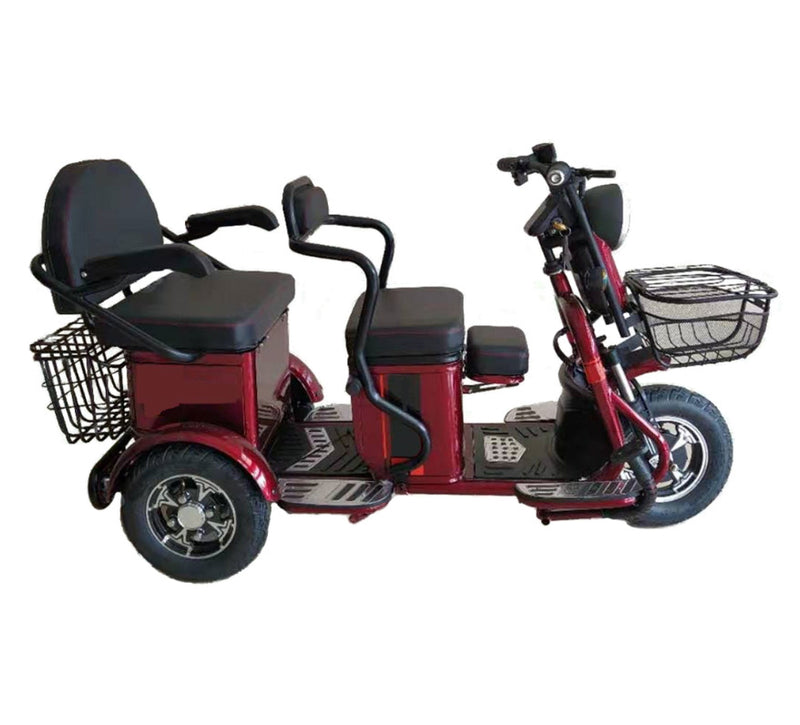 Pushpak 2000 650W 2-Person Electric Trike