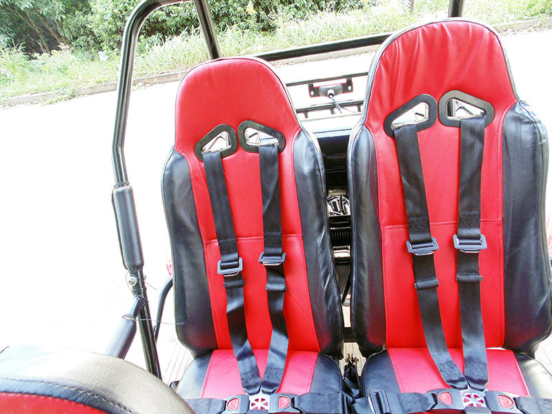 TRAILMASTER BLAZER4 200EX (EFI) GO KART 4-SEATER