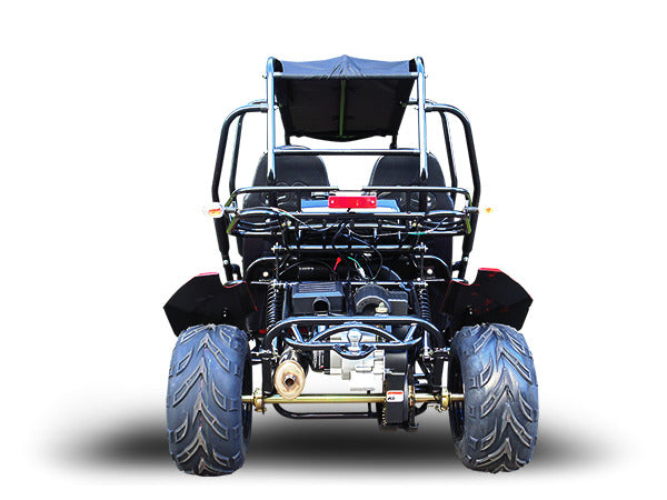 TRAILMASTER BLAZER4 200EX (EFI) GO KART 4-SEATER