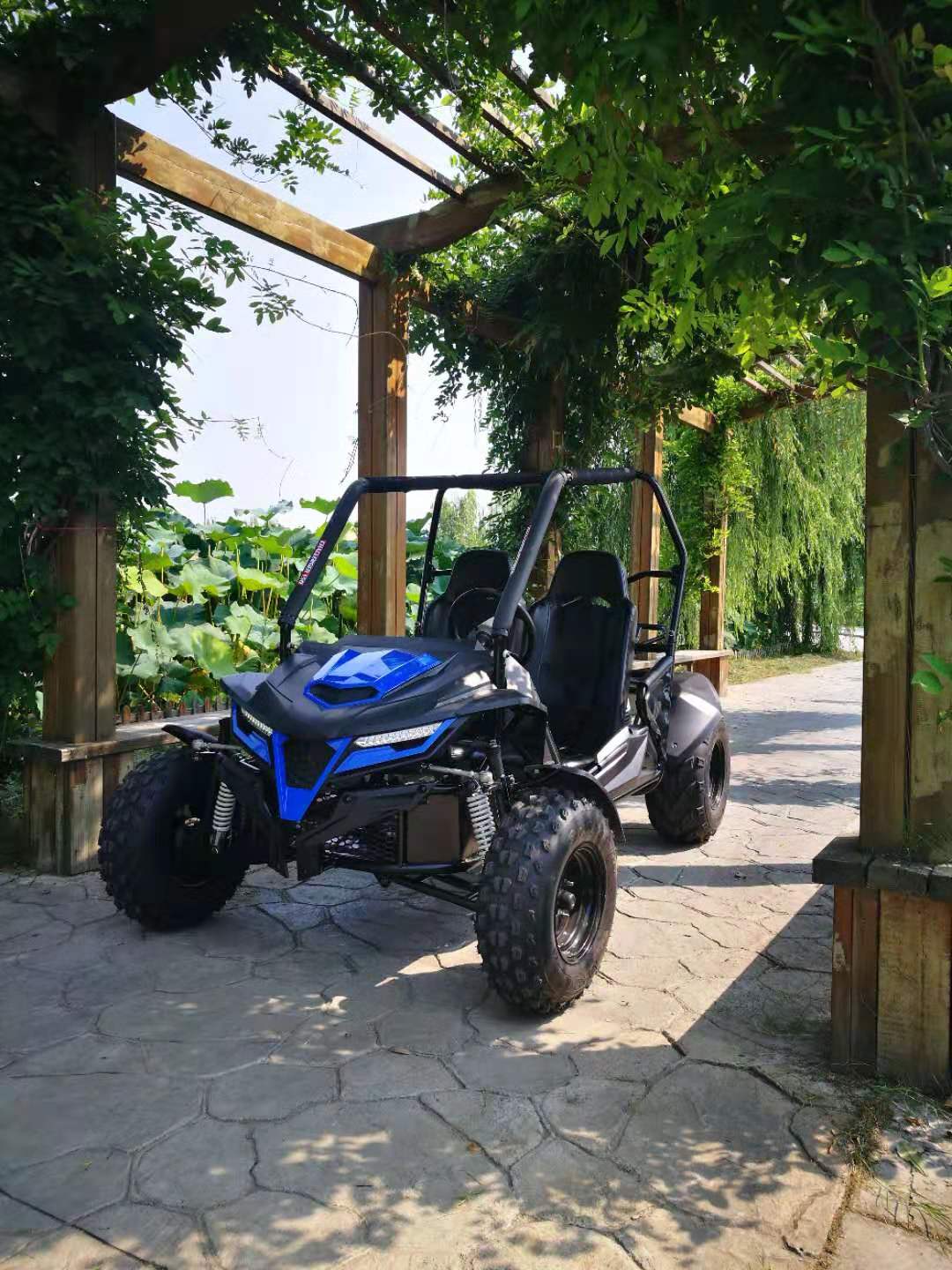 TRAILMASTER CHEETAH 200E (EFI) GO KART