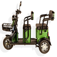 Pushpak 3500 650w 2-Person Electric Trike