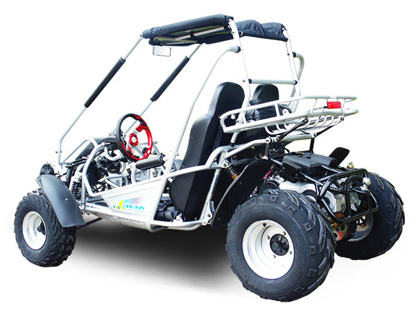 TRAILMASTER 300E XRS (EFI)