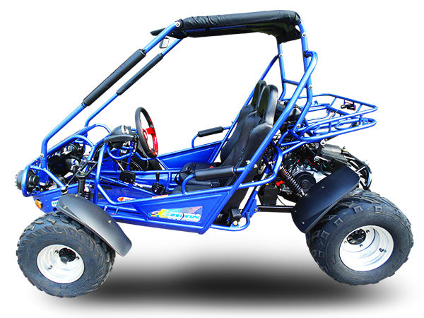 TRAILMASTER 300E XRS (EFI)