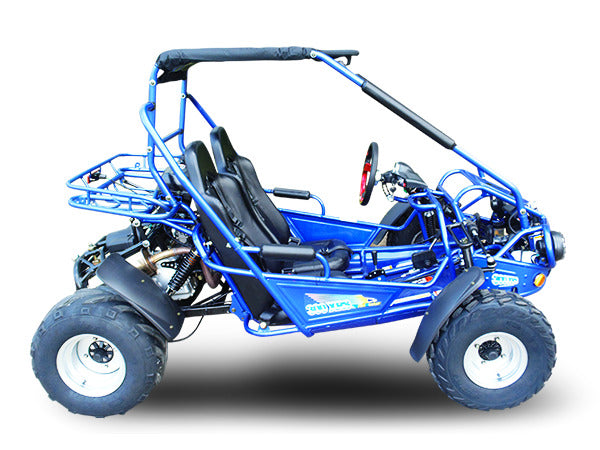 TRAILMASTER 300E XRS (EFI)