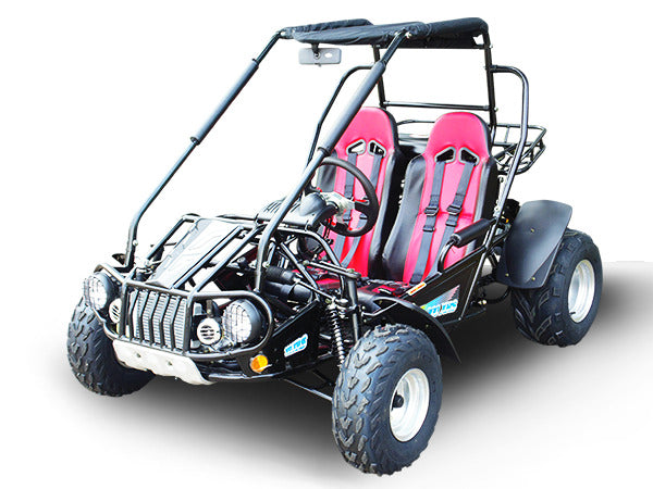 TRAILMASTER 300E XRS (EFI)