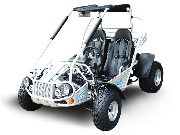 TRAILMASTER 300E XRS (EFI)