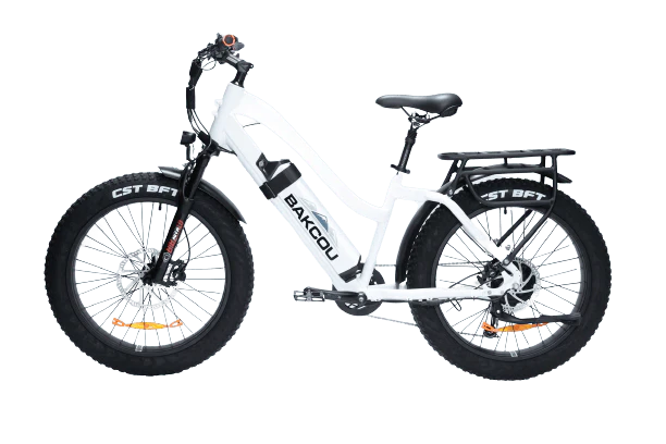 Bakcou ST Flatlander 24 Step-Through 750W Electric Bike