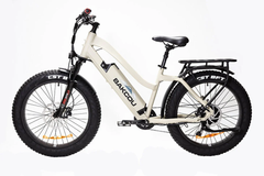 Bakcou ST Flatlander 24 Step-Through 750W Electric Bike