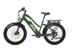 Bakcou ST Flatlander 24 Step-Through 750W Electric Bike