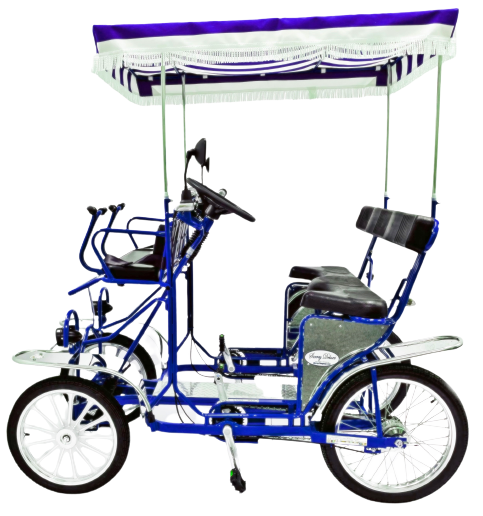 Surrey Deluxe Quadricycle