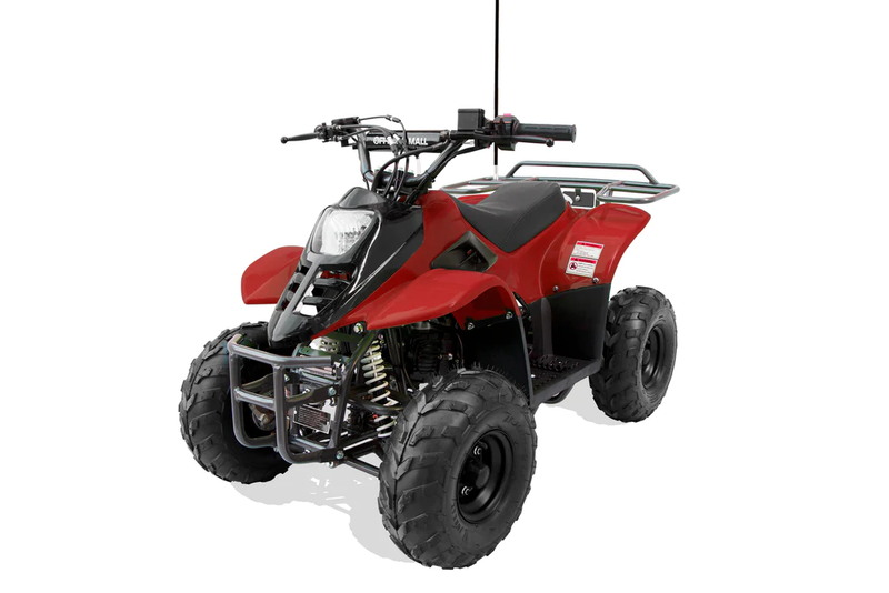 TrailMaster Mini 110 Sport (6