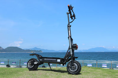 Teewing X4 5600W DUAL MOTOR FOLDING ELECTRIC SCOOTER