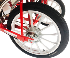 Surrey Deluxe Quadricycle