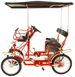 Surrey Deluxe Quadricycle