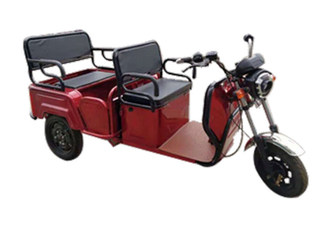 Pushpak 6000 2-Person Electric Trike