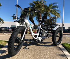 Emojo Caddy 48V 500W White Fat Tire Electric Trike