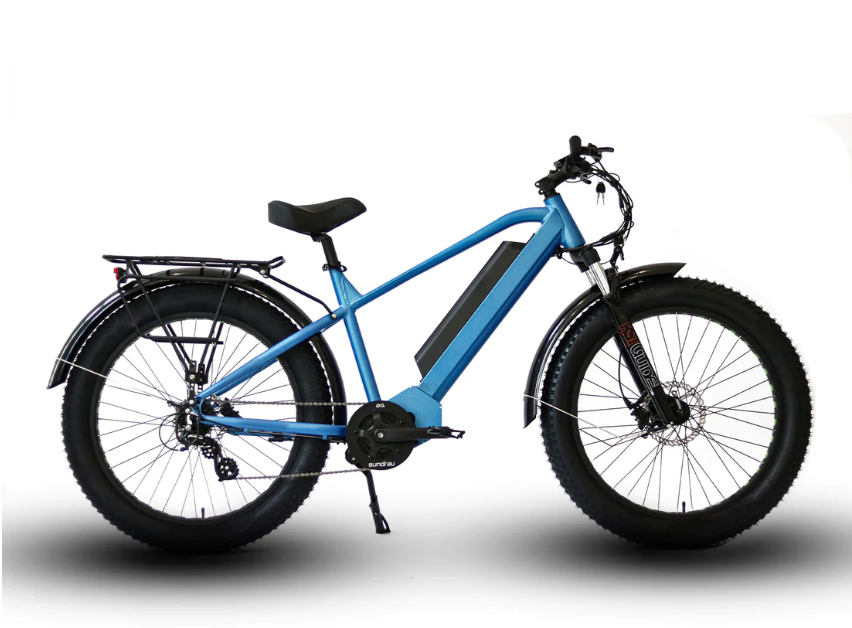 Eunorau FAT-HD 48V1000W Fat Tire Electric Mountain Bike