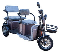 Pushpak 4000 650W 2-Person Electric Trike