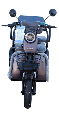 Pushpak 4000 650W 2-Person Electric Trike