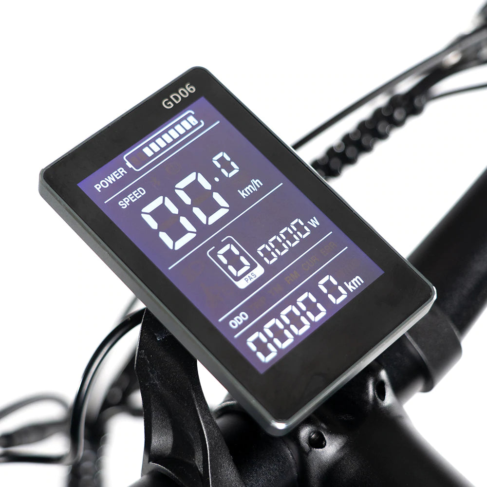 Rattan LM 750W Foldable Fat Tire Ebike