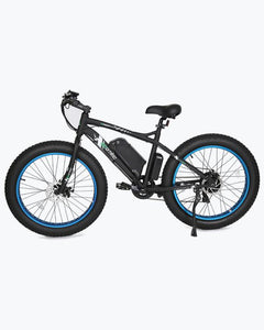 Ecotric 36V 500W Fat Tire Beach Snow Electric Bike