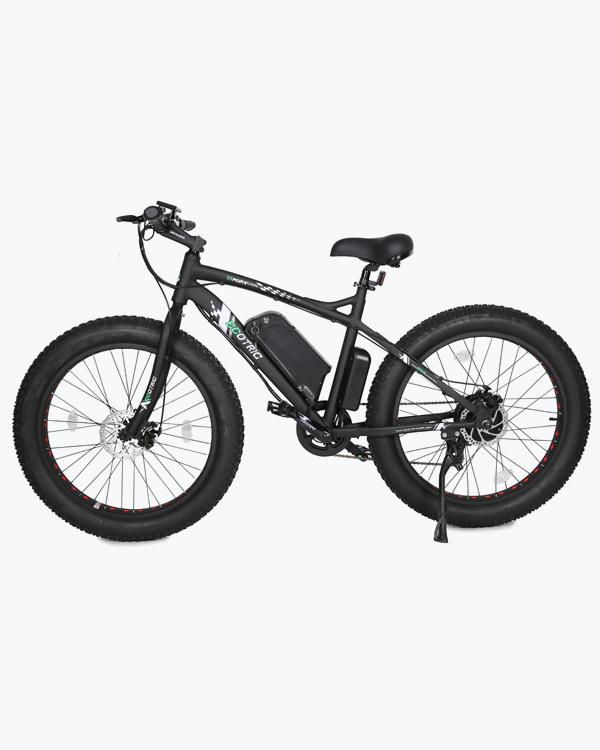 Ecotric 36V 500W Fat Tire Beach Snow Electric Bike
