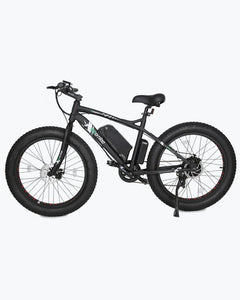 Ecotric 36V 500W Fat Tire Beach Snow Electric Bike