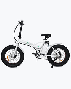 Ecotric 36V 500W 20" Fat Tire Folding Electric Bike