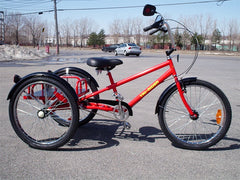Belize Bike Tri-Rider Industrial Work Trike Model #96442