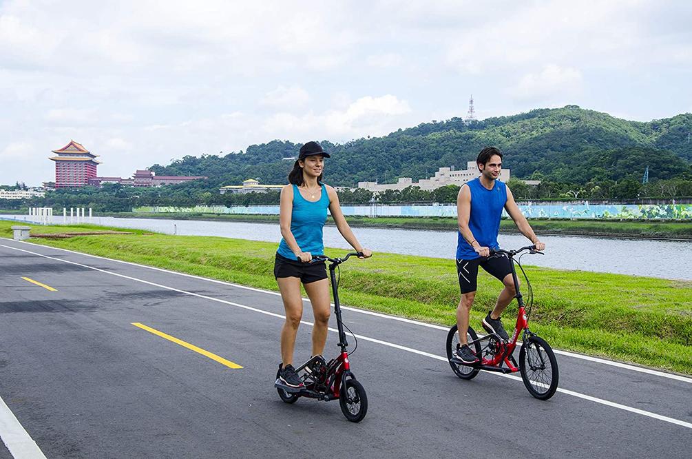 Brizon Stepwing G1 Galaxy Stepper Bike
