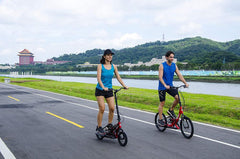 Brizon Stepwing G1 Galaxy Stepper Bike