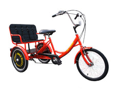 Belize Bike Buddy Trike 6 Speed Adaptive Tricycle