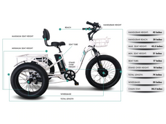 Emojo Caddy Pro Electric Trike