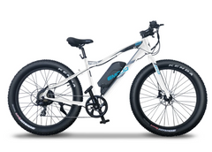 Emojo Wildcat Pro Electric Mountain Bike