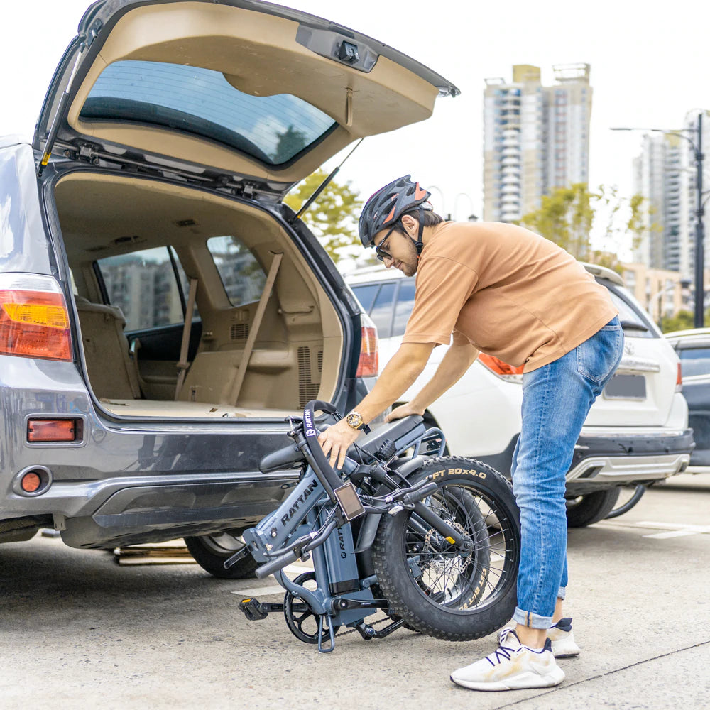 Rattan LM 750W Foldable Fat Tire Ebike