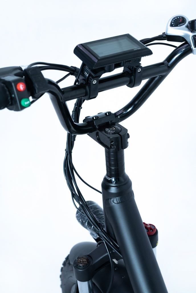 Greenbike Electric Motion Mule 48V 500W 2 Seater Electric Fat Tire Bike