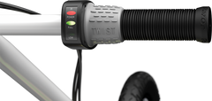 Razor EcoSmart SUP Electric Scooter