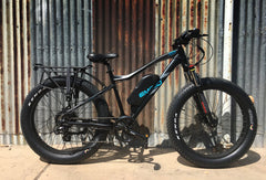 Emojo Wildcat Pro Electric Mountain Bike