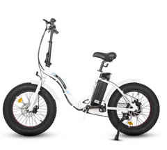 Ecotric Dolphin UL-Certified Step Through Fat Tire Electric Bike