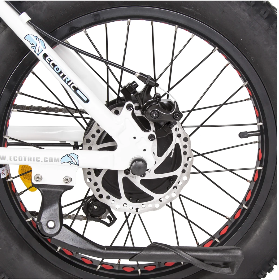 Ecotric Dolphin UL-Certified Step Through Fat Tire Electric Bike