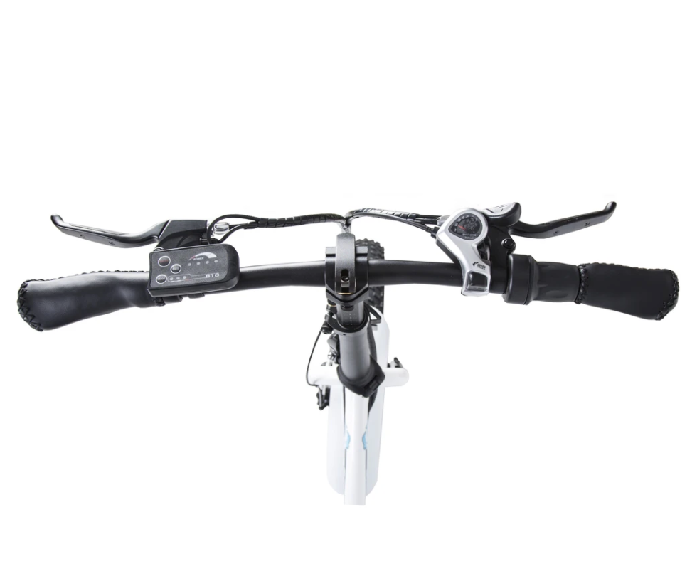 Ecotric Dolphin UL-Certified Step Through Fat Tire Electric Bike