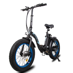 Ecotric Dolphin UL-Certified Step Through Fat Tire Electric Bike