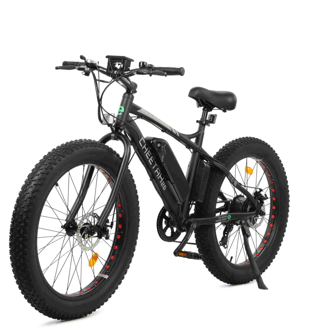 Ecotric 36V 500W Fat Tire Beach Snow Electric Bike