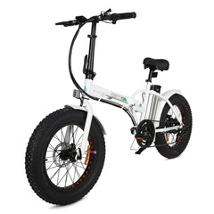 Ecotric 36V 500W 20" Fat Tire Folding Electric Bike
