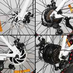Ecotric 48V13AH 500W 20" Folding Fat Tire Electric Bike