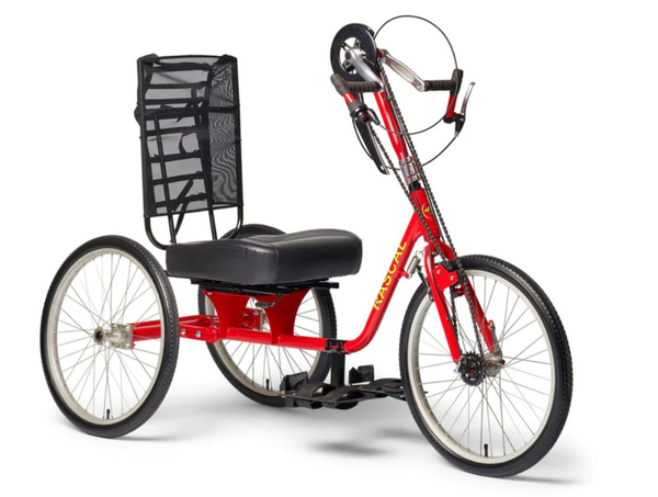 Tricycle For Adults With Disabilities