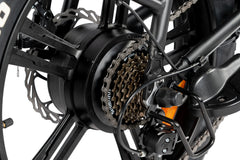 Rattan LF 750 PRO