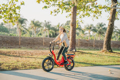 Rattan LF 750 PRO